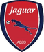 Jaguar PE U20 - Team Jaguar Pe U 367075 Live Score