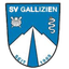 SV Gallizien - Team Sv Gallizien 325971 Scores