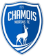 Niort II - Team Niort Ii 328343 Football Live Score