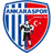 Ankaraspor FK - Tur Second League 32077 Football Score