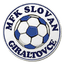 Slovan Giraltovce - Team Slovan Giraltovce 326320 Football Score