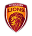 Bulleen Lions U23 - Team Bulleen Lions U 298661 Football Live Score