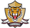 Tigres Zipaquira - Envigado Fc Vs Tigres Zipaquira Prediction