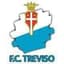 Treviso - Team Treviso 305521 Result