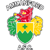 Ammanford - Carmarthen Vs Ammanford 506981 Live Score Today