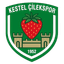 Kestel Çilekspor - Team Kestel Ilekspor 385461 Football Result