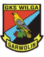 Wilga Garwolin - Team Wilga Garwolin 366415 Football Live Score