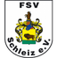 FSV Schleiz - Team Fsv Schleiz 359456 Football Live Score