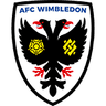 AFC Wimbledon - Team Afc Wimbledon 304854 Sport