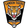 Camden Tigers SC - Camden Tigers Sc Vs Gladesville Ryde Magic Prediction