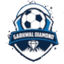 Garhwal Diamond - Team Garhwal Diamond 355700 Football Result