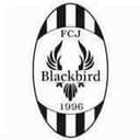 FC Jyvaskyla Blackbird - Blackbird VS Keupa Sport