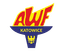 AWF Katowice - Team Awf Katowice 386048 Live Score Today