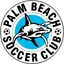 Palm Beach Sharks - Team Palm Beach Sharks 330297 Football Live Score