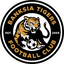 Banksia Tigers FC - Team Banksia Tigers Fc 348122 Result