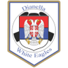 Dianella White Eagles U23 - Team Fremantle City Fc U 375395 Football Live Score