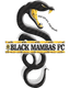 Black Mambas FC - Team Black Mambas Fc 358968 Sport