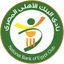 National Bank of Egypt - Team National Bank Of Egypt 343151 Football Live
