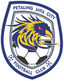 Petaling Jaya City FC - Team Petaling Jaya City Fc 322937 Scores