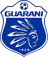 Guarani de Palhoca - Team Blumenau Ec 335553 Football Score