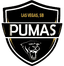 Pumas Las Vegas - Team Pumas Las Vegas 361887 Live Score Today