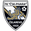 CSK Pivara Celarevo - Team Csk Pivara Celarevo 315132 Live Score