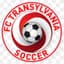 FC Transylvania - Team Fc Transylvania 338208 Football Score