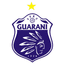 Guarani de Palhoca U20 - Team Guarani De Palhoca U 324623 Results