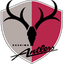 Kashima Antlers (Youth) - Team Kashima Antlers Youth 313131 Live