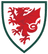Wales U16 - Team United Arab Emirates U 314919 Football Live Score