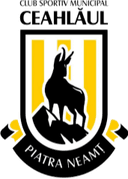 FC Ceahlaul Piatra Neamt II - Ii VS Vaslui Live Score