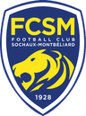 Sochaux - Team Sochaux 303935 Football Result