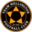 Team Wellington - Team Team Wellington 309878 Football Live