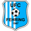 Pertlstein/Fehring II - Team Pertlsteinfehring Ii 367114 Football