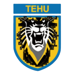 Nanjing Tehu Football Club