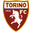 Torino U19 - Player Razvan Sava 500368 303865 Result