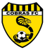 Bentleigh Utd Cobras - Team Bentleigh Utd Cobras 347973 Football Score
