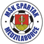 Spartak Medzilaborce - Team Spartak Medzilaborce 341434 Football Score