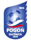 Pogon Olesnica - Live Team Pogon Olesnica 312678