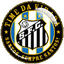 Santos Belarus - Team Santos Belarus 344583 Football Live Score