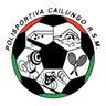 Cailungo - Team Cailungo 327545 Live Score Today