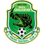 Phichit FC U19 - Team Phichit Fc U 332873 Live Score Today
