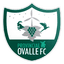 Provincial Ovalle - Team Provincial Ovalle 357479 Football Result