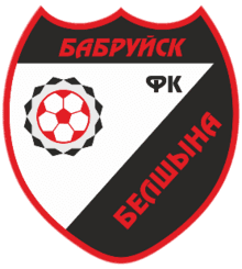 Belshina Babruisk Reserve - Player Ilya Vikhrov 528232 340843 Results