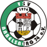 FSV Babelsberg (w) - Team Turbine Potsdam Women 310609 Football Live