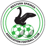 Western Springs AFC - Team Auckland City 299230 Football Score