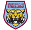 Sporting Bengaluru - Team Sporting Bengaluru 365842 Live Score Today