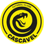 FC Cascavel PR U20 - Team Fc Cascavel Pr U 300424 Scores