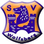 SV Wolfsberg - Team Sv Wolfsberg 374364 Football Live Score