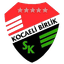Kocaeli Birlik Spor U19 - Team Kocaeli Birlik Spor U 328640 Schedule
